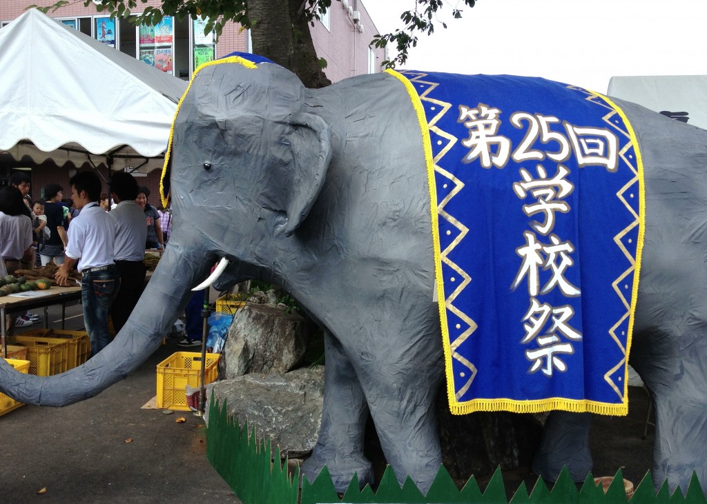 elephant